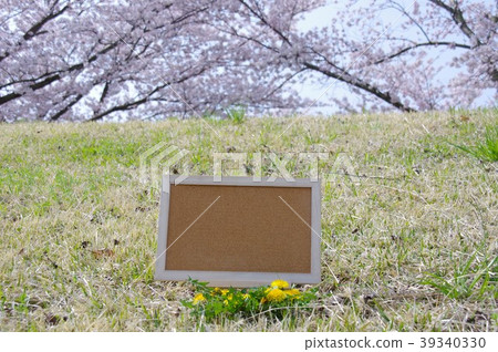 Cherry and cork board Cherry and cork board 39340330