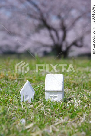 櫻花和白宮住房形象 39340363