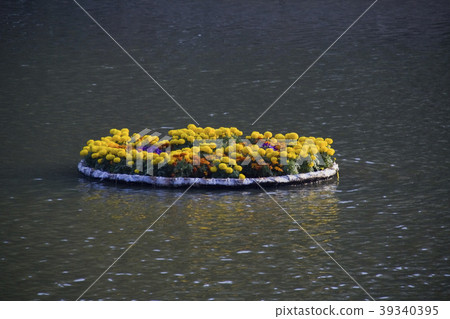 Floating Flower Tray Floating Flower Tray 39340395