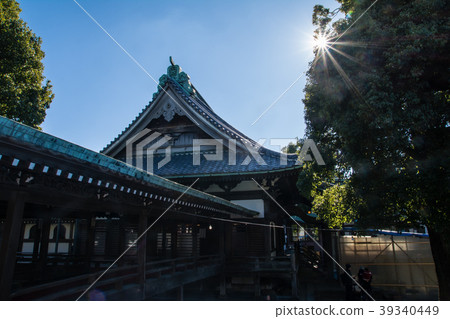 Shibamata Teishin的屋頂和大樹在陽光和強烈的陽光下 39340449