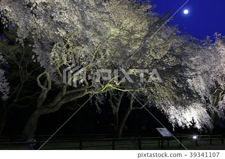 Rougetsu Rougetsu 39341107