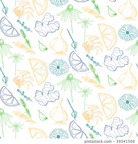 Herbs and medicinal plants seamless pattern Herbs and medicinal plants seamless pattern 39341508