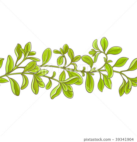 marjoram branch vector pattern marjoram branch vector pattern 39341904