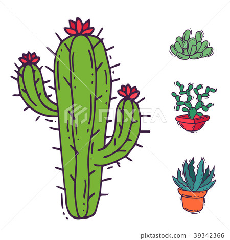 Cactus home nature vector illustration of green Cactus home nature vector illustration of green 39342366