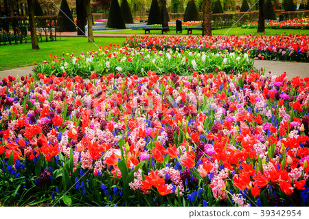 Formal spring garden Formal spring garden 39342954