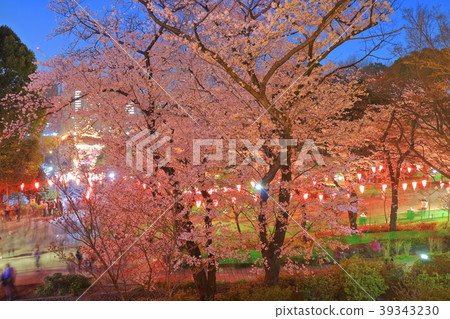在上野Onshi公園的夜櫻花 39343230