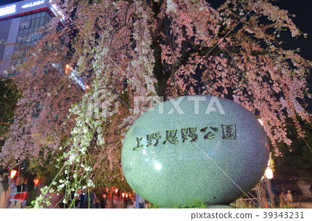 在上野Onshi公園的夜櫻花 39343231