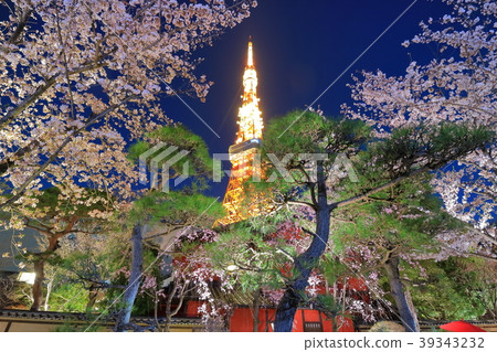 東京鐵塔和夜櫻花 39343232