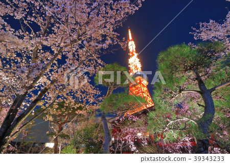 東京鐵塔和夜櫻花 39343233