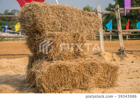 A wall of rectangular bales of straw stacked A wall of rectangular bales of straw stacked 39343986