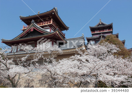 Fushimi-Matsuyama城堡在京都春天 39344480