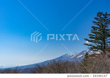 Mt. Karuizawa Asagiyama視圖看法 Mt. Karuizawa Asagiyama視圖看法 39346147
