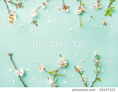 Spring almond blossom flowers over light blue Spring almond blossom flowers over light blue 39347323