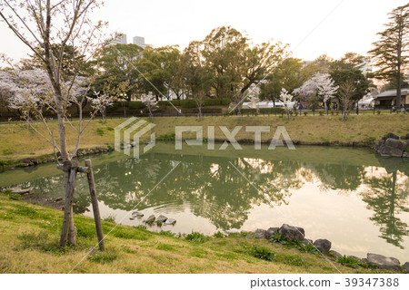 Motomarubori (Shizuoka Prefecture Shizuoka City) 39347388
