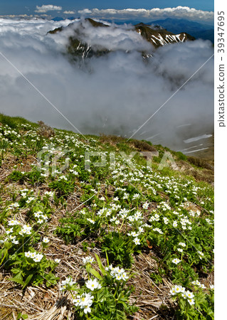 Tanigawa山脈，Senno Kurayama Hakusan慈鯛社區和陰雲密布的山脊線 39347695
