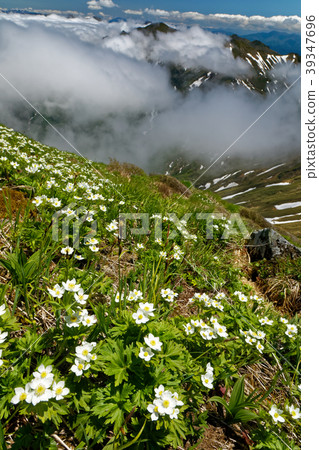 Tanigawa山脈，Senno Kurayama Hakusan慈鯛社區和陰雲密布的山脊線 39347696