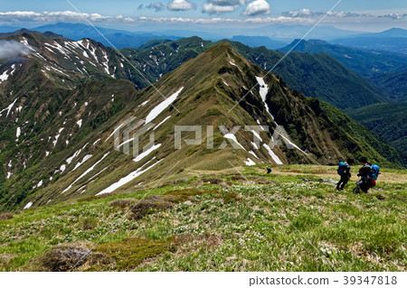 We see main ridge line from Tanigawa mountain peak, Sennokurayama where Hakusanichige blooms 39347818