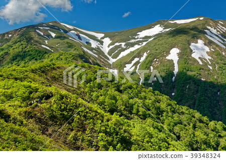 登山者沿著新鮮的綠色山脊線和剩下的雪痕 39348324