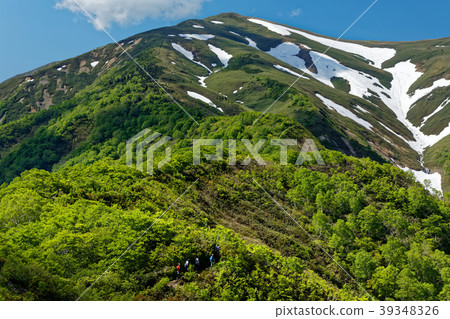 登山者沿著新鮮的綠色山脊線和剩下的雪痕 39348326