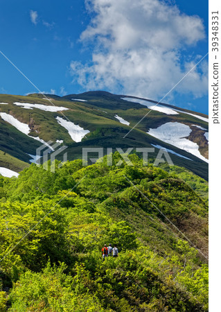 Mountain climbers who go along the fresh green ridge line and the remaining snow mark 39348331