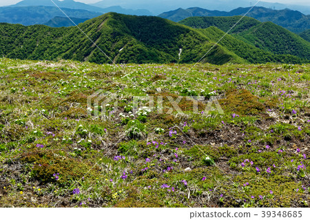 Joetsu Border, Hibariyama flower garden and fresh green mountain range Joetsu Border, Hibariyama flower garden and fresh green mountain range 39348685