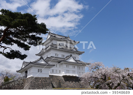Odawara Castle Park 39348689