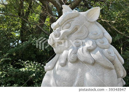 Shiba Inu from Mitaka Taisha 39348947