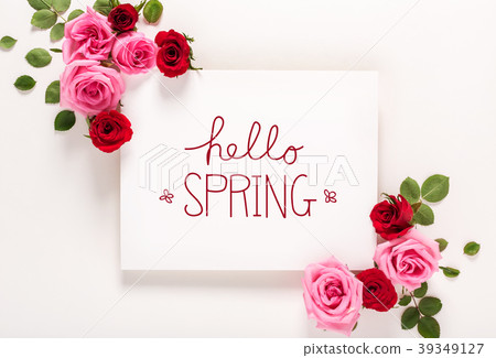 Hello Spring message with roses and leaves  39349127