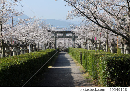 旭丘公園 39349128