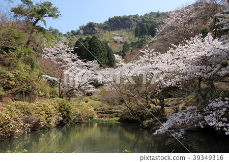 Shoyama Shrine 39349316