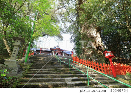 大邱和新田神社 39349764