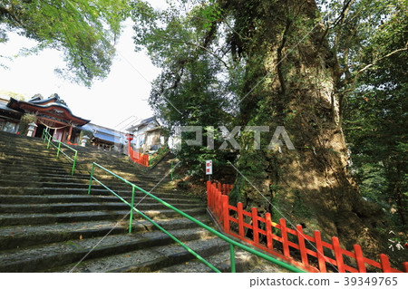 大邱和新田神社 大邱和新田神社 39349765