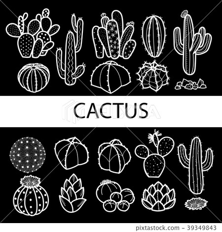 Set of isolated cactus and succulents Set of isolated cactus and succulents 39349843
