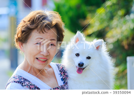 拿著狗的日本資深夫人 39350094