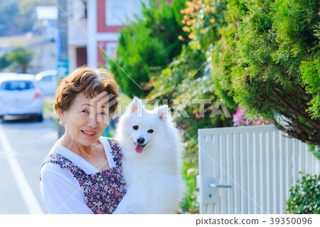 拿著狗的日本資深夫人 39350096