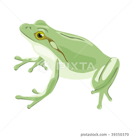 A frog 39350370