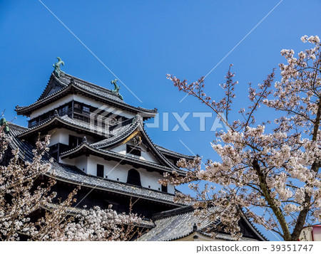 Castle of Japan Matsue Castle aka Chidori Castle The castle tower is a national treasure selected 100 national cherry blossom spots in Japan 39351747