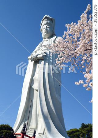 櫻花和高崎觀音 櫻花和高崎觀音 39352379