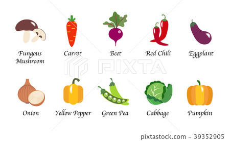Organic nature health vegetable food spice vector Organic nature health vegetable food spice vector 39352905