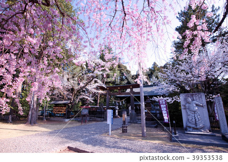 宇都宮市桐生神社 宇都宮市桐生神社 39353538