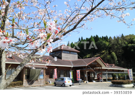 Sakura and Kannon Taki Onsen Waterfall Sakura and Kannon Taki Onsen Waterfall 39353859