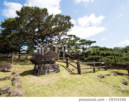 松樹的五個分支 39354398