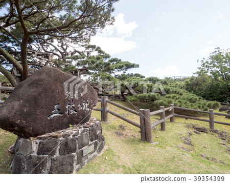 Five branches of pine 39354399