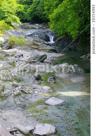 清除流 清除流 39354993