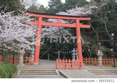 香取神宮（千葉縣） 39355012