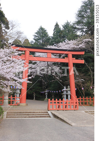 香取神宮（千葉縣） 39355013