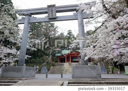 香取神宮（千葉縣） 39355017