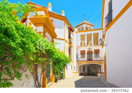 Outdoor view of Arena on of Square of bulls 39355562