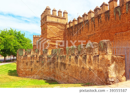 Wall of Seville (Muralla almohade de Sevilla) 39355587