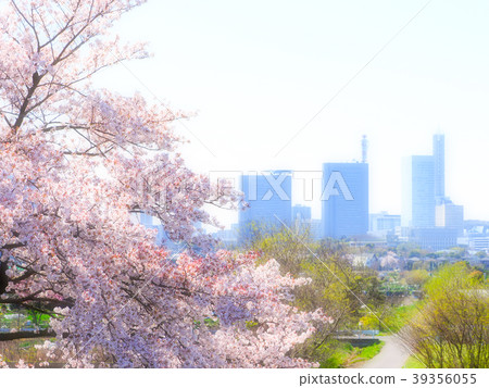 櫻花和埼玉新都心 櫻花和埼玉新都心 39356055
